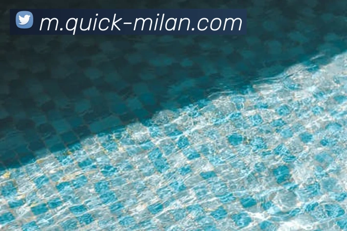 米兰体育平台生态图